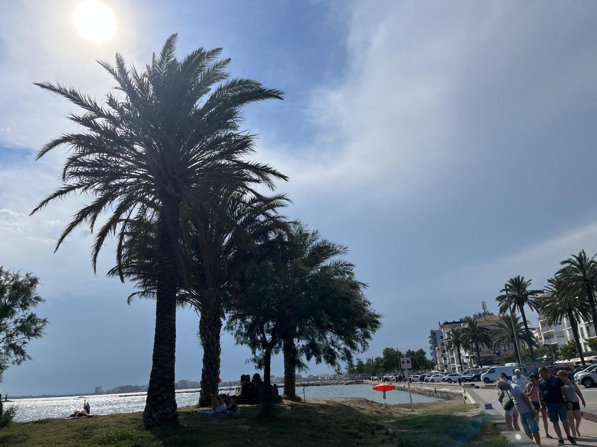 Castell Joncar,30 M De La Playa, 1Era Linea De Mar, Vista Al Mar Apartment Roses Exterior photo